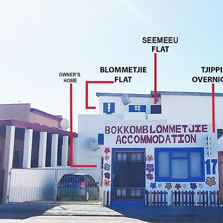 Bokkomblommetjie Lambertʼs Bay 外观 照片