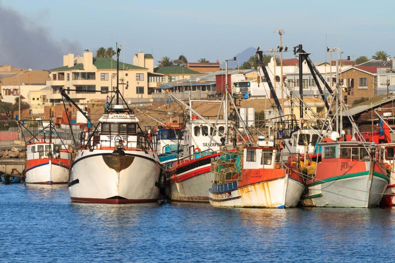 Bokkomblommetjie Lambertʼs Bay 外观 照片